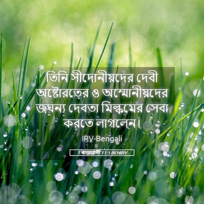 Picture 05 - 1 ৰাজাৱলী 11:5 BENIRV - তিনি সীদোনীয়দের - Bible Verse Picture
