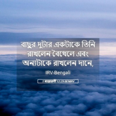 Picture 05 - 1 ৰাজাৱলী 12:29 BENIRV - বাছুর দুটার - Bible Verse Picture