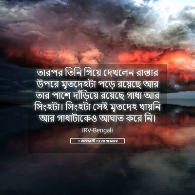 Picture 05 - 1 ৰাজাৱলী 13:28 BENIRV - তারপর তিনি গিয়ে - Bible Verse Picture