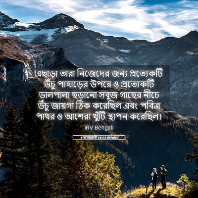 Picture 05 - 1 ৰাজাৱলী 14:23 BENIRV - এছাড়া তারা - Bible Verse Picture