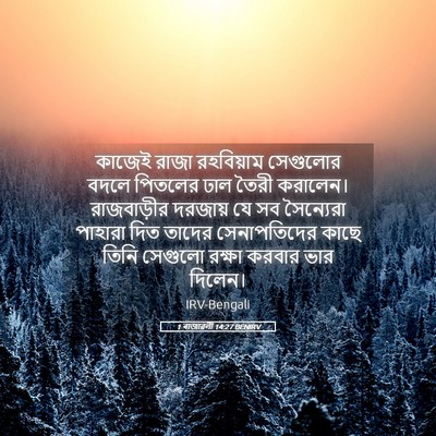 Picture 05 - 1 ৰাজাৱলী 14:27 BENIRV - কাজেই রাজা - Bible Verse Picture