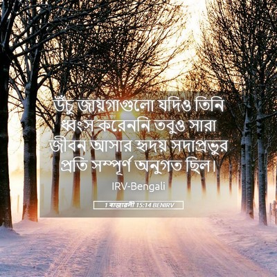 Picture 05 - 1 ৰাজাৱলী 15:14 BENIRV - উঁচু জায়গাগুলো - Bible Verse Picture