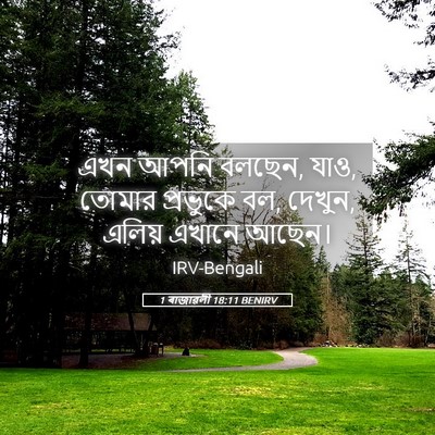 Picture 05 - 1 ৰাজাৱলী 18:11 BENIRV - এখন আপনি বলছেন, - Bible Verse Picture