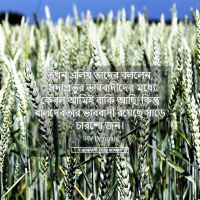 Picture 05 - 1 ৰাজাৱলী 18:22 BENIRV - তখন এলিয় তাদের - Bible Verse Picture