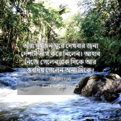 Picture 05 - 1 ৰাজাৱলী 18:6 BENIRV - তাঁরা দুইজন ঘুরে - Bible Verse Picture