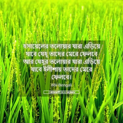 Picture 05 - 1 ৰাজাৱলী 19:17 BENIRV - হসায়েলের তলোয়ার - Bible Verse Picture