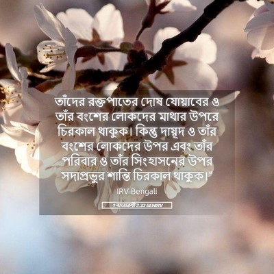 Picture 05 - 1 ৰাজাৱলী 2:33 BENIRV - তাঁদের রক্তপাতের - Bible Verse Picture