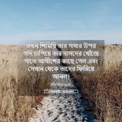 Picture 05 - 1 ৰাজাৱলী 2:40 BENIRV - তখন শিমিয়ি তার - Bible Verse Picture