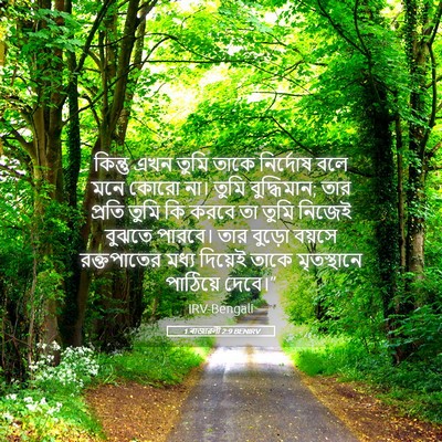 Picture 05 - 1 ৰাজাৱলী 2:9 BENIRV - কিন্তু এখন তুমি - Bible Verse Picture