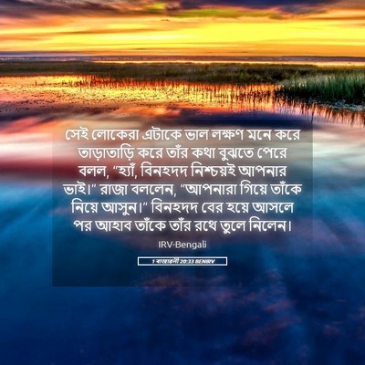 Picture 05 - 1 ৰাজাৱলী 20:33 BENIRV - সেই লোকেরা এটাকে - Bible Verse Picture