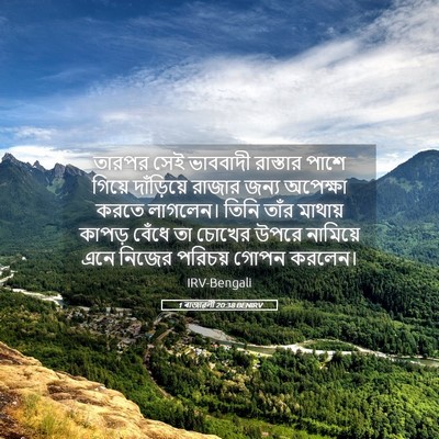 Picture 05 - 1 ৰাজাৱলী 20:38 BENIRV - তারপর সেই ভাববাদী - Bible Verse Picture