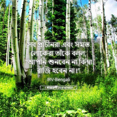 Picture 05 - 1 ৰাজাৱলী 20:8 BENIRV - সব প্রাচীনরা এবং - Bible Verse Picture