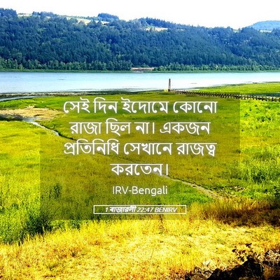 Picture 05 - 1 ৰাজাৱলী 22:47 BENIRV - সেই দিন ইদোমে কোনো - Bible Verse Picture