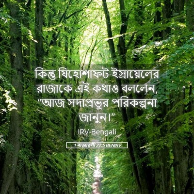 Picture 05 - 1 ৰাজাৱলী 22:5 BENIRV - কিন্তু যিহোশাফট - Bible Verse Picture