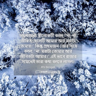 Picture 05 - 1 ৰাজাৱলী 3:22 BENIRV - তখন অন্য - Bible Verse Picture