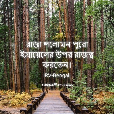Picture 05 - 1 ৰাজাৱলী 4:1 BENIRV - রাজা শলোমন পুরো - Bible Verse Picture