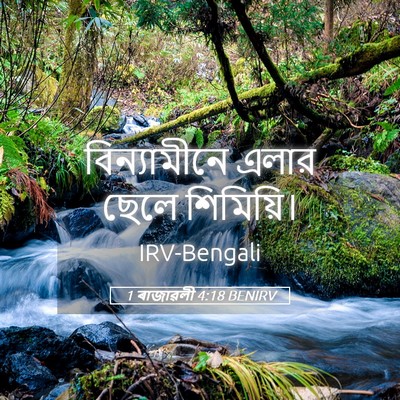 Picture 05 - 1 ৰাজাৱলী 4:18 BENIRV - বিন্যামীনে এলার - Bible Verse Picture