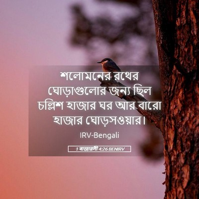Picture 05 - 1 ৰাজাৱলী 4:26 BENIRV - শলোমনের রথের - Bible Verse Picture