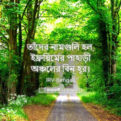 Picture 05 - 1 ৰাজাৱলী 4:8 BENIRV - তাঁদের নামগুলি হল, - Bible Verse Picture