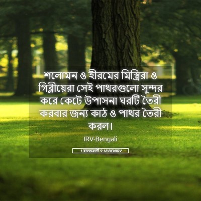 Picture 05 - 1 ৰাজাৱলী 5:18 BENIRV - শলোমন ও হীরমের - Bible Verse Picture