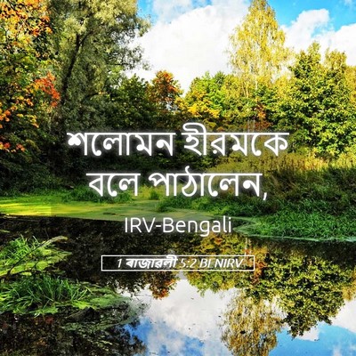 Picture 05 - 1 ৰাজাৱলী 5:2 BENIRV - শলোমন হীরমকে বলে - Bible Verse Picture