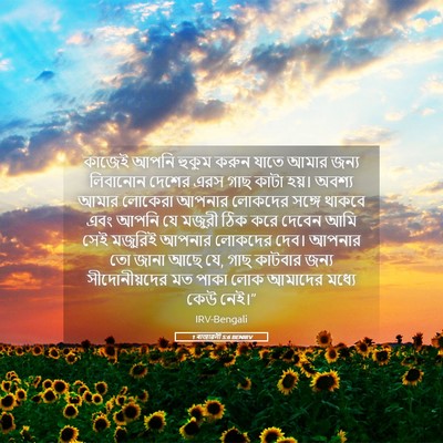 Picture 05 - 1 ৰাজাৱলী 5:6 BENIRV - কাজেই আপনি হুকুম - Bible Verse Picture