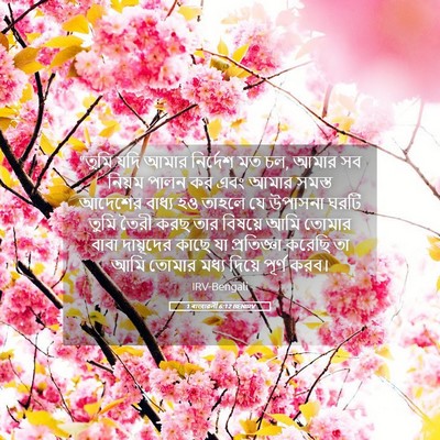 Picture 05 - 1 ৰাজাৱলী 6:12 BENIRV - “তুমি যদি আমার - Bible Verse Picture