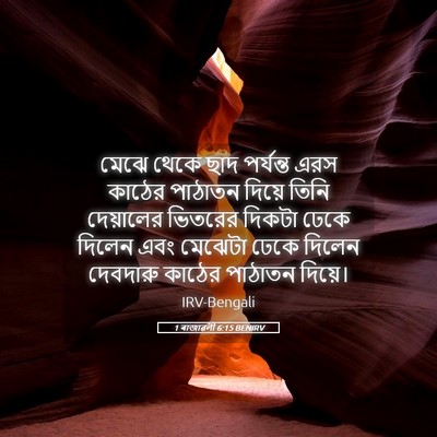 Picture 05 - 1 ৰাজাৱলী 6:15 BENIRV - মেঝে থেকে ছাদ - Bible Verse Picture