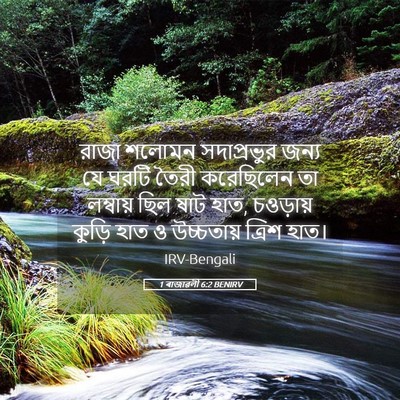 Picture 05 - 1 ৰাজাৱলী 6:2 BENIRV - রাজা শলোমন - Bible Verse Picture