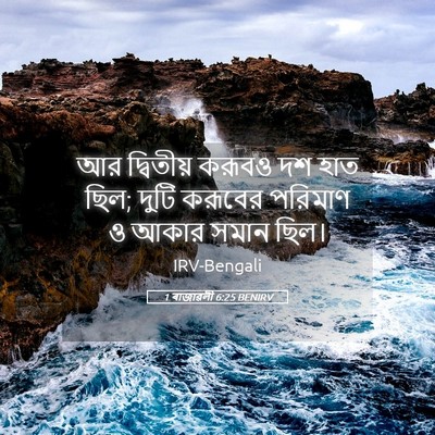 Picture 05 - 1 ৰাজাৱলী 6:25 BENIRV - আর দ্বিতীয় করূবও - Bible Verse Picture