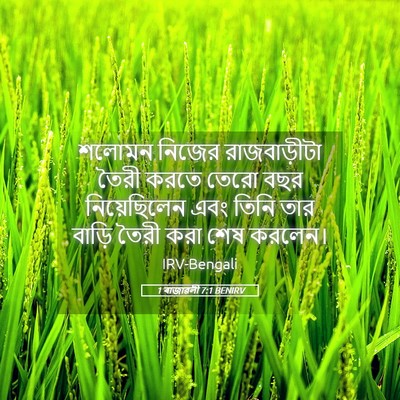Picture 05 - 1 ৰাজাৱলী 7:1 BENIRV - শলোমন নিজের - Bible Verse Picture
