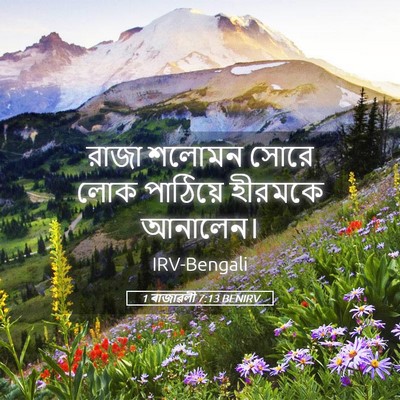 Picture 05 - 1 ৰাজাৱলী 7:13 BENIRV - রাজা শলোমন সোরে - Bible Verse Picture