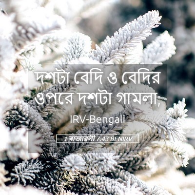 Picture 05 - 1 ৰাজাৱলী 7:43 BENIRV - দশটা বেদি ও বেদির - Bible Verse Picture