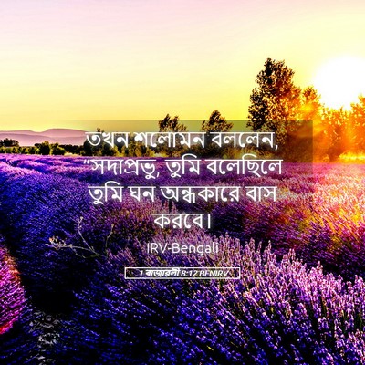 Picture 05 - 1 ৰাজাৱলী 8:12 BENIRV - তখন শলোমন বললেন, - Bible Verse Picture