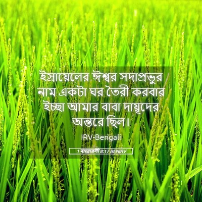 Picture 05 - 1 ৰাজাৱলী 8:17 BENIRV - ইস্রায়েলের ঈশ্বর - Bible Verse Picture