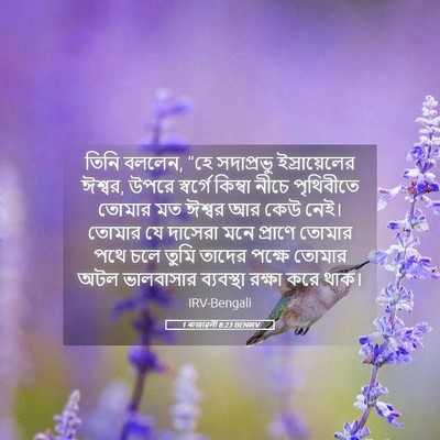 Picture 05 - 1 ৰাজাৱলী 8:23 BENIRV - তিনি বললেন, “হে - Bible Verse Picture