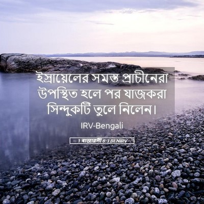 Picture 05 - 1 ৰাজাৱলী 8:3 BENIRV - ইস্রায়েলের সমস্ত - Bible Verse Picture