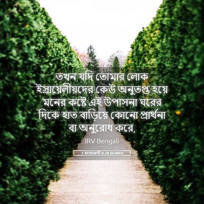 Picture 05 - 1 ৰাজাৱলী 8:38 BENIRV - তখন যদি তোমার লোক - Bible Verse Picture