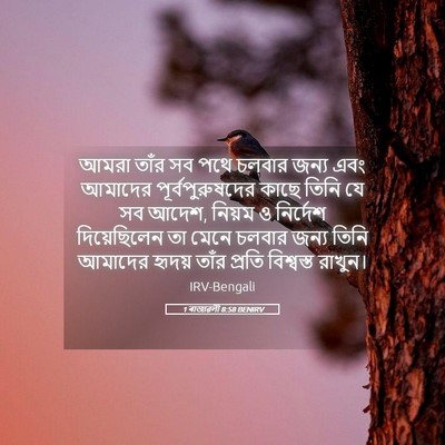 Picture 05 - 1 ৰাজাৱলী 8:58 BENIRV - আমরা তাঁর সব পথে - Bible Verse Picture