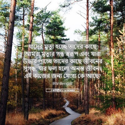 Picture 05 - 2 কৰিন্থীয়া 2:16 BENIRV - যাদের মৃত্যু - Bible Verse Picture