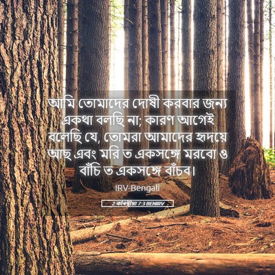 Picture 05 - 2 কৰিন্থীয়া 7:3 BENIRV - আমি তোমাদের দোষী - Bible Verse Picture