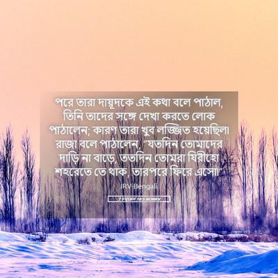Picture 05 - 2 চমূৱেল 10:5 BENIRV - পরে তারা দায়ূদকে - Bible Verse Picture