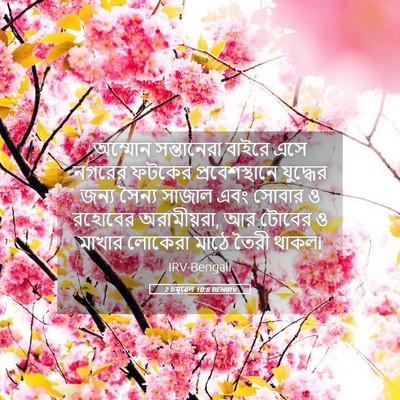 Picture 05 - 2 চমূৱেল 10:8 BENIRV - অম্মোন সন্তানেরা - Bible Verse Picture