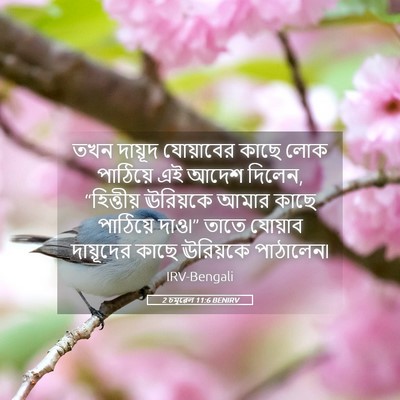 Picture 05 - 2 চমূৱেল 11:6 BENIRV - তখন দায়ূদ - Bible Verse Picture