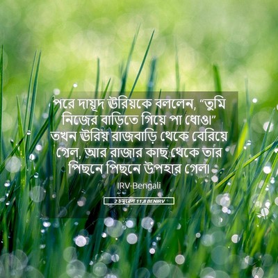 Picture 05 - 2 চমূৱেল 11:8 BENIRV - পরে দায়ূদ - Bible Verse Picture