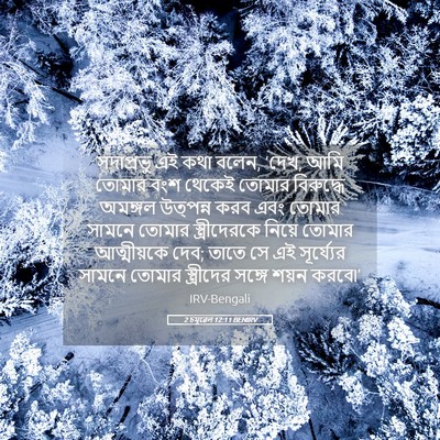 Picture 05 - 2 চমূৱেল 12:11 BENIRV - সদাপ্রভু এই কথা - Bible Verse Picture