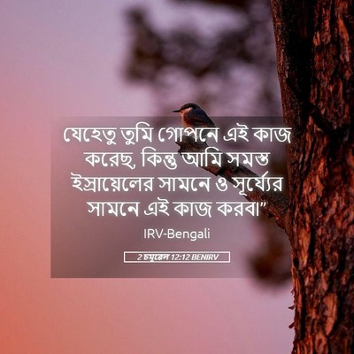 Picture 05 - 2 চমূৱেল 12:12 BENIRV - যেহেতু তুমি গোপনে - Bible Verse Picture