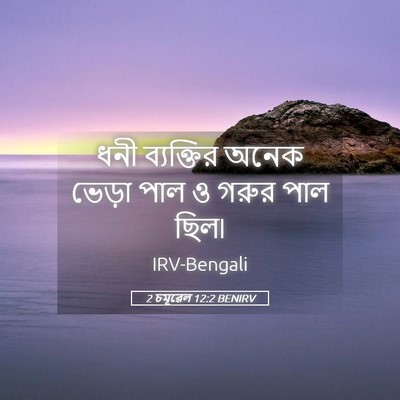 Picture 05 - 2 চমূৱেল 12:2 BENIRV - ধনী ব্যক্তির অনেক - Bible Verse Picture