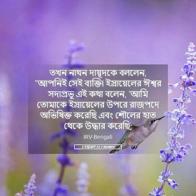 Picture 05 - 2 চমূৱেল 12:7 BENIRV - তখন নাথন দায়ূদকে - Bible Verse Picture
