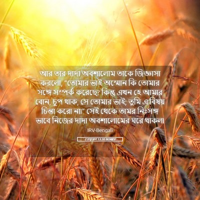 Picture 05 - 2 চমূৱেল 13:20 BENIRV - আর তার দাদা - Bible Verse Picture